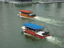 81_image